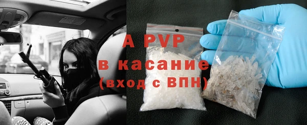 твердый Майский