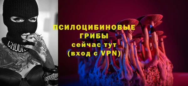 СК Абдулино