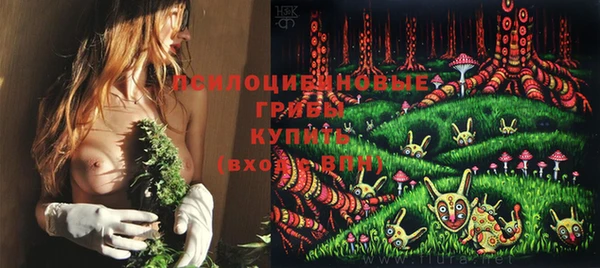 не бодяженный Абаза