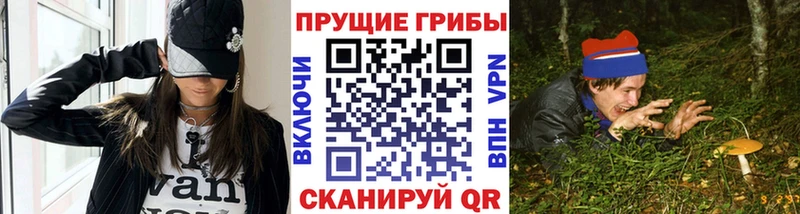 Галлюциногенные грибы Psilocybine cubensis  Нижнекамск 